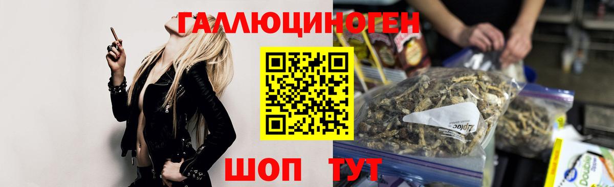 Псилоцибиновые грибы Psilocybine cubensis  Вход с VPN  Советск 