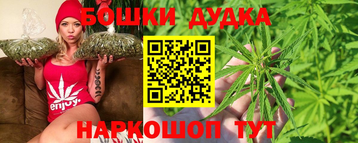 Бошки Шишки планчик Советск